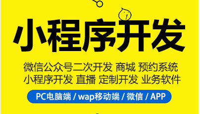 制作小程序，不知道小程序分類，小程序制作很難